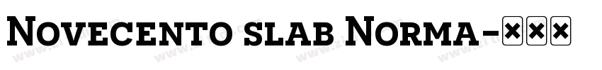 Novecento slab Norma字体转换